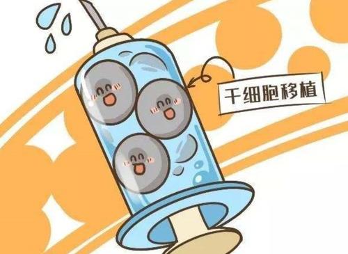 干细胞移植.jpg