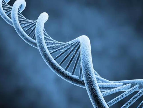 DNA.jpg DNA.jpg
